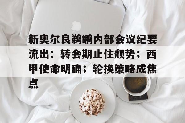 新奥尔良鹈鹕内部会议纪要流出：转会期止住颓势；西甲使命明确；轮换策略成焦点的简单介绍-LOL官网登录入口