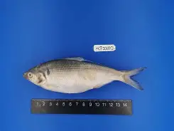 媋8u鰶@h&amp;? -lol官方网站